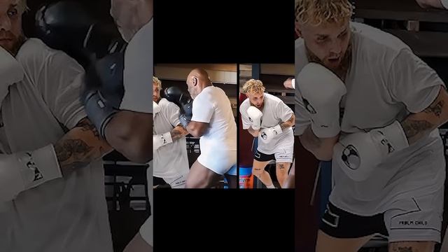 Майк Тайсон на Тренировке Уничтожил Джейка Пола смотреть онлайн