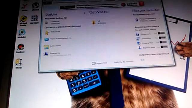 Как скачать КэтВар на Windows смотреть онлайн