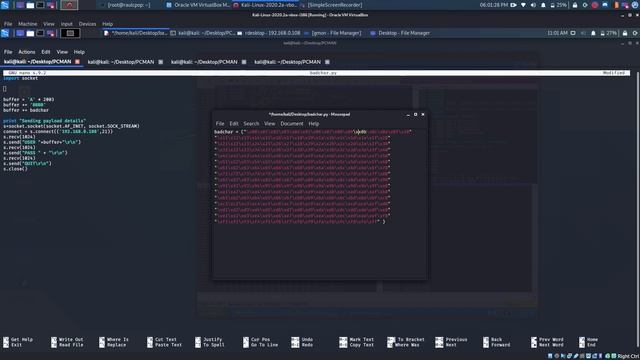 PCMan FTP Server 2.0.7 - Remote Buffer Overflow смотреть онлайн
