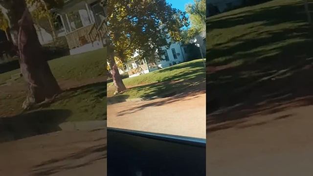 Fuck you Model X I'm having an Xbox 360 смотреть онлайн