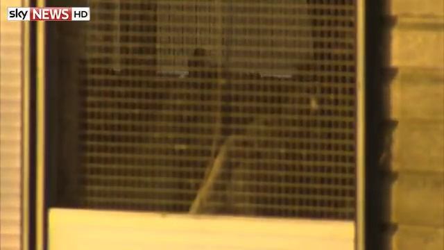 Bird Flu Britain: Inside The Duck Breeding Farm смотреть онлайн