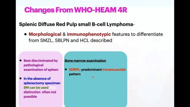 Pathlearnings Update series: WHO HEAM5 article- Mature B cell Lymphomas- Part 1 смотреть онлайн