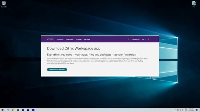 How to fix Citrix ceip.exe Application Error смотреть онлайн