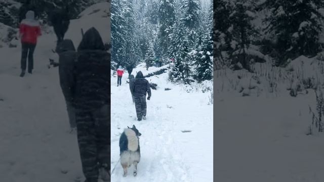 #Поездка в кчр смотреть онлайн