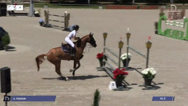 BALOUBET DU ROUET - Baloubet du Rouet x Cento смотреть онлайн