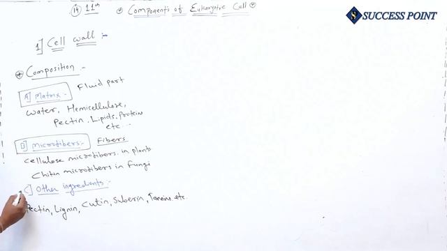 11th/CELL#14/BIOLOGY/SUCCESS POINT смотреть онлайн