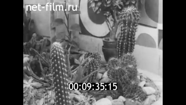 1983г. Родники. меланжевый комбинат "Большевик". Ивановская обл смотреть онлайн
