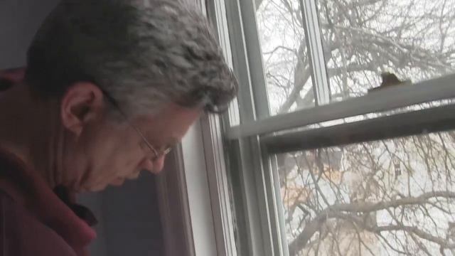 Old Window Check-Up смотреть онлайн