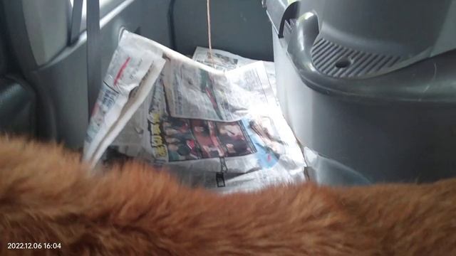 MAC - going home from Clinic смотреть онлайн