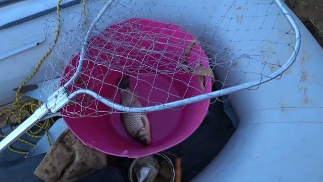 Дикая рыбалка, один в глуши...часть 1