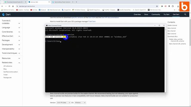 Cài đặt Dart SDK cho Windows смотреть онлайн
