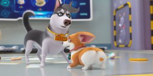 Корги по имени Моко. Домашние животные 2, 18 серия. Мысли домашних животных