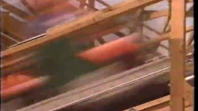 Six Flags Great America - Experience New Viper (1995) смотреть онлайн