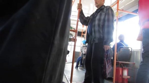 Собака в троллейбусе // 2014