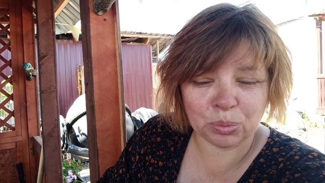 Насыщенные дни, жаркое лето смотреть онлайн