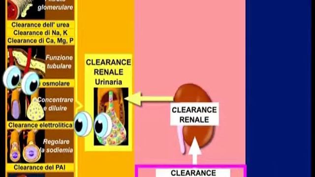 MEMO 5: Cos'altro c'è da dire su "Clearances" e "Filtrato glomerulare". смотреть онлайн