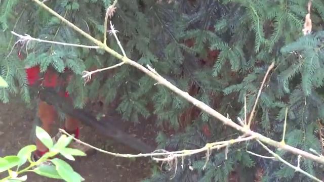 Arrêtes de lustrer le Soleil :-) смотреть онлайн