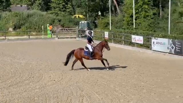 Miss Killy:ELDORADO VD ZESHOEK TN x NUMERO UNO смотреть онлайн