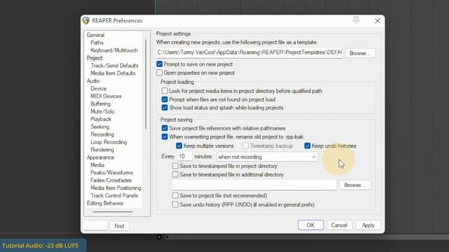 #072 - ▶️ Settare Reaper. Configura l'organizzazione di file e cartelle in modo Pro [Tutorial - ITA смотреть онлайн