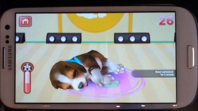 My first dog - Going on a Contest смотреть онлайн