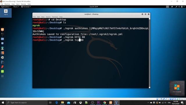 How to use Ngrok | Sinhala | Windows / Kali Linux смотреть онлайн