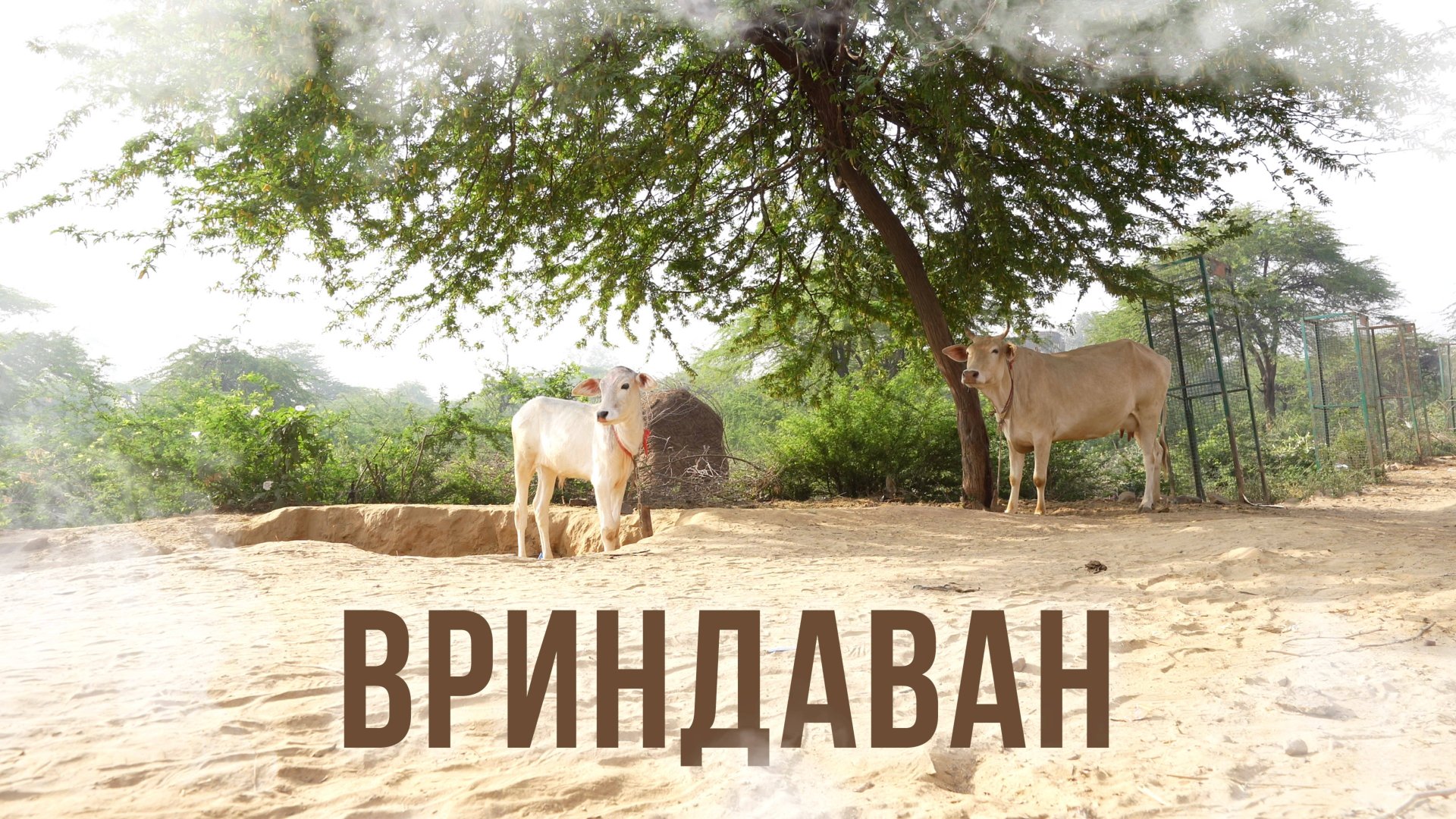 Вриндаван: святая земля Индии / Аскеза в кедах смотреть онлайн