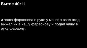 День 11. Библия за год. С митрополитом Иларионом.