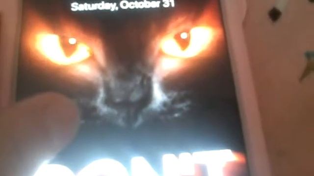Black cat new "dont touch my phone" live wallpaper смотреть онлайн