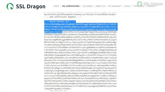 How to Install an SSL Certificate on Heroku | SSL Dragon смотреть онлайн