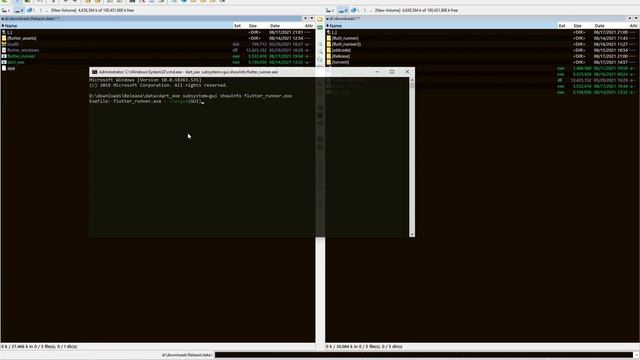 Dart flutter runner on Windows смотреть онлайн