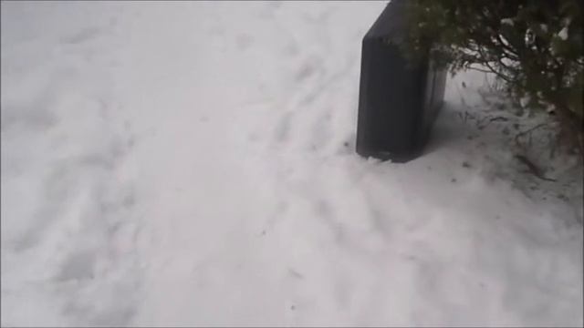 Be quiet! Silent Base 600 Quick Overview! смотреть онлайн