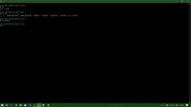 Install linux terminal in Windows 10 | Massive Terminal for Windows смотреть онлайн