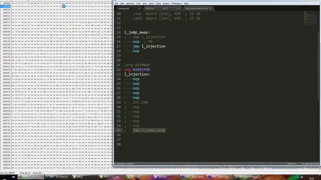 Game binary editing tutorial 2 - ZDoom code injection Part 1 смотреть онлайн