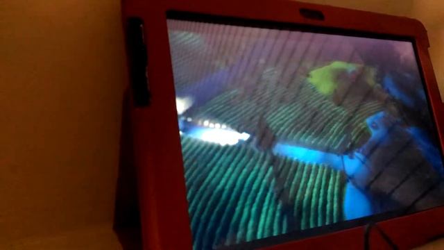 Морро вселился в лойда