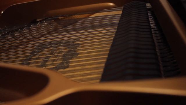 Flora - Firth of Fifth (Genesis Cover) смотреть онлайн