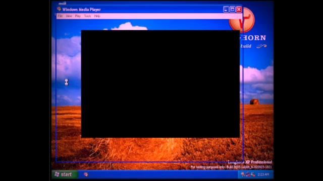 Trying windows longhorn build 3683 смотреть онлайн