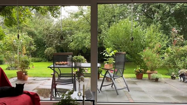 WindowSwap - Havixbeck, Germany - window-swap.com смотреть онлайн