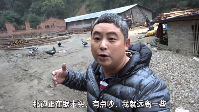 山里半年养了一批山林鸭，这增产养殖速度惊人，连自己都不愿相信！【王玮先生】 смотреть онлайн