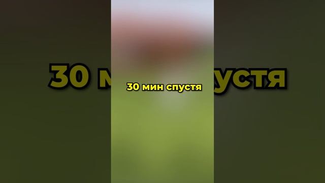 было? смотреть онлайн
