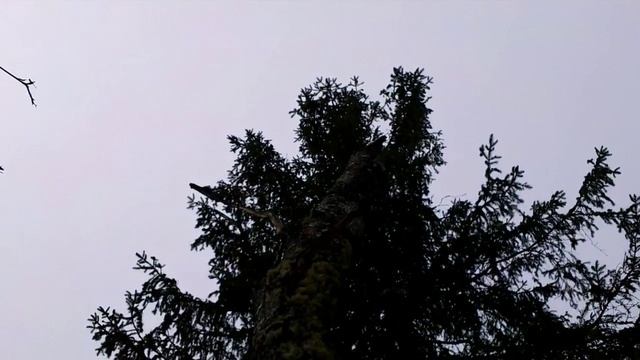 2012 Влоя. Открытие сезона. Сплав.