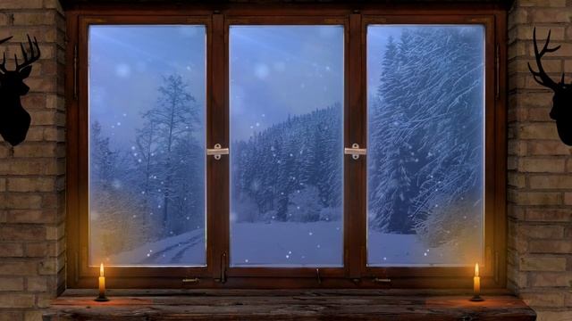 Cold Winter | Look at the snow falling from the window. смотреть онлайн