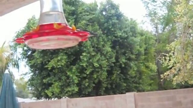 hummer fly by смотреть онлайн
