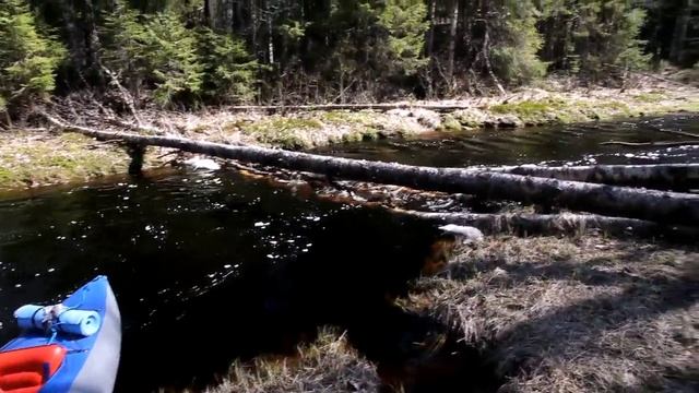 2011 Важозерка - Рандозерка - Важинка.