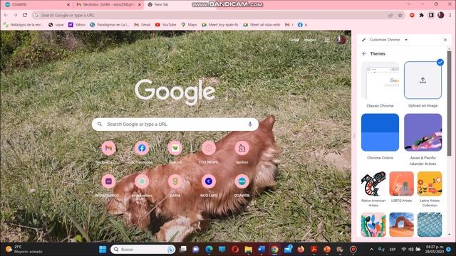Cómo Poner Fondo A Google Chrome | Cambiar Fondo De Google Personalizado/2023/ Windows 11,10, 8, 7 смотреть онлайн