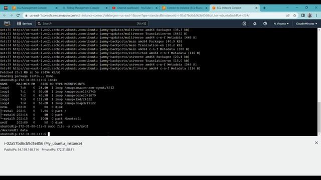 Format and Mount Cloud Storage | Mount EBS in AWS | смотреть онлайн