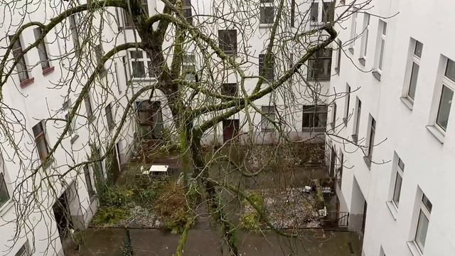 Cozy snowfall to warm your heart | from my kitchen window in Berlin | let’s take a break смотреть онлайн