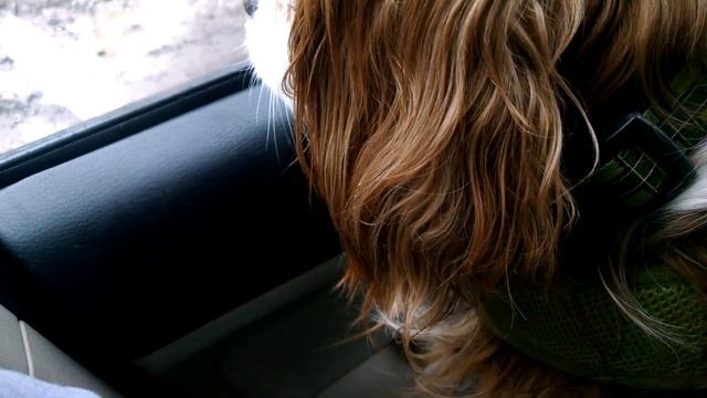 Marney looking out car window смотреть онлайн