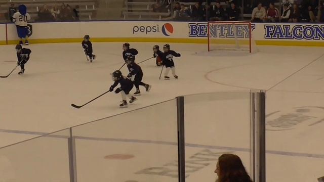 Waltham Mites "Holy Cross" @ Bentley College 1/19/19 смотреть онлайн