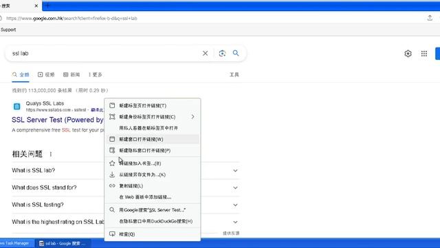 Floorp Bowser(Firefox 115 esr)on Windows XP смотреть онлайн