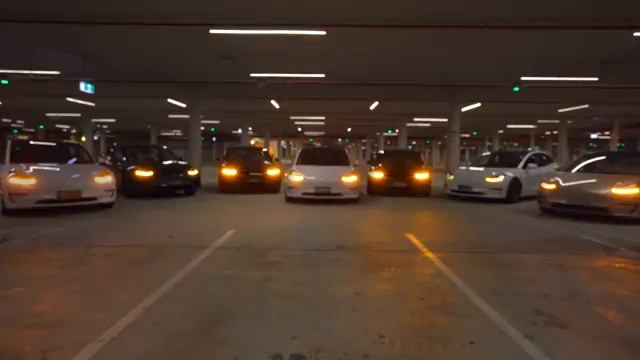 Tesla Multiple Car LightShow - Together in Electric Dreams смотреть онлайн